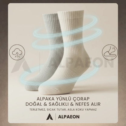 ALPAEON | Doğal Alpaka Yünü Konfor Çorap Seti