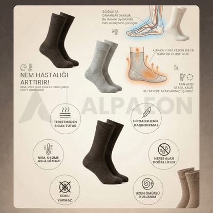 ALPAEON | Doğal Alpaka Yünü Konfor Çorap Seti
